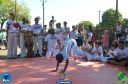 DSC_1271.jpg