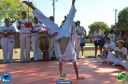 DSC_1436.jpg