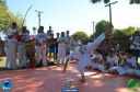 DSC_1439.jpg
