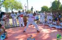 DSC_1585.jpg