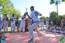 DSC_1634.jpg