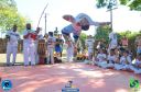 DSC_1669.jpg
