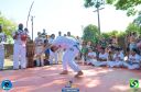 DSC_1705.jpg