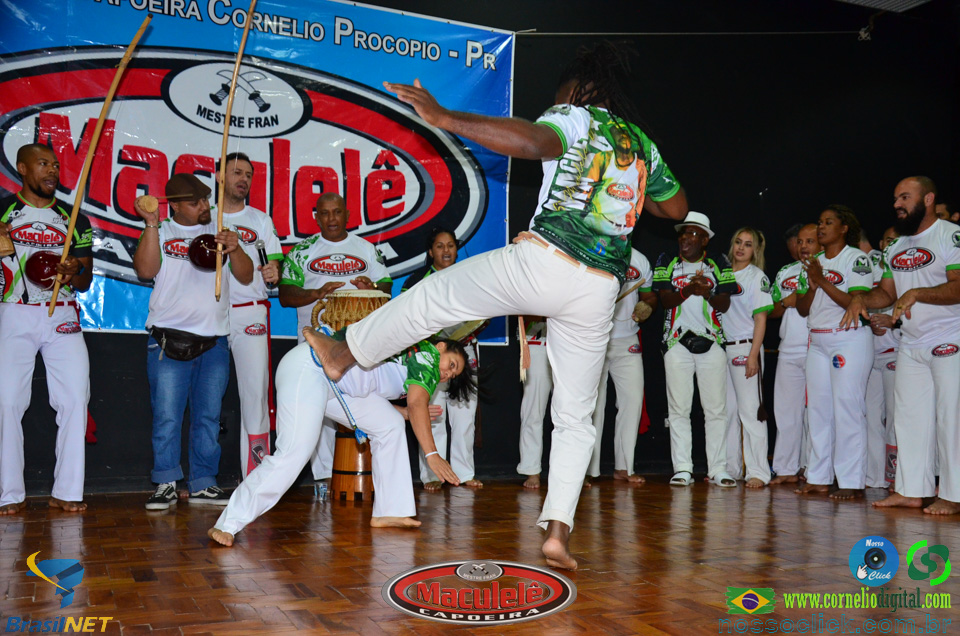 DSC_6461.jpg