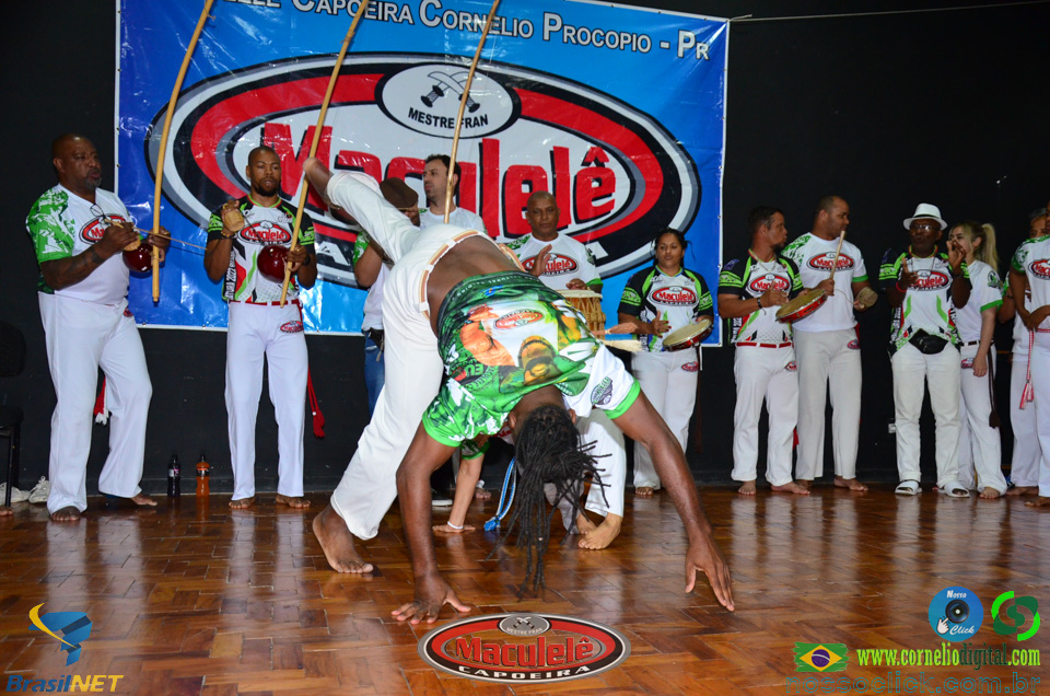 DSC_6462.jpg