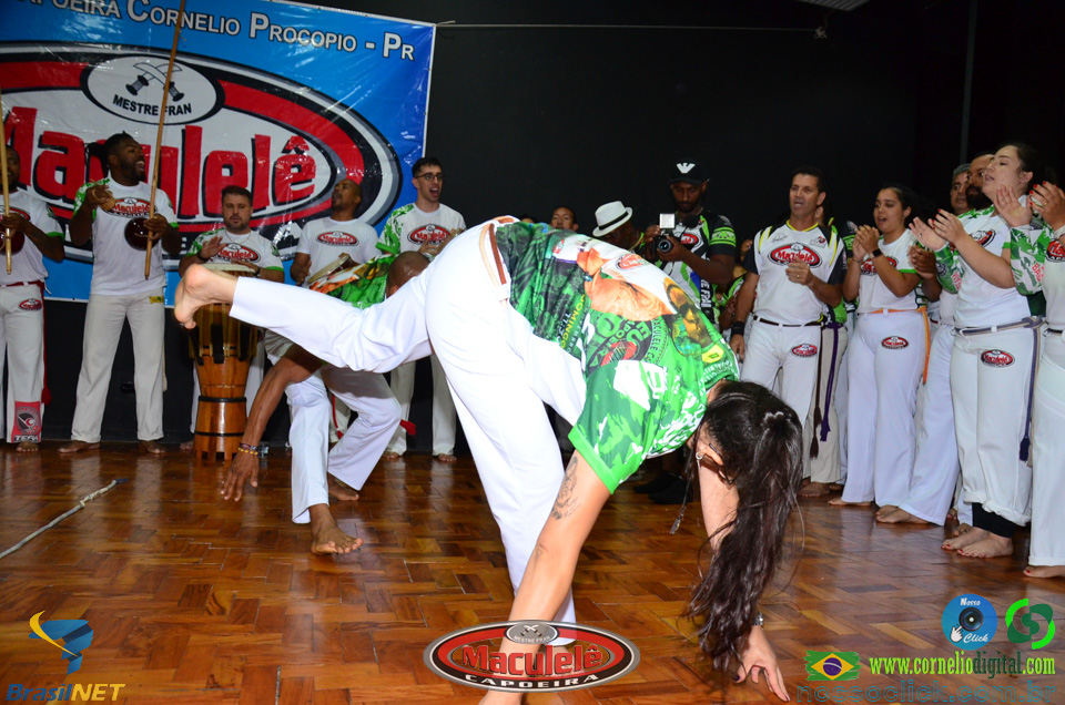 DSC_6919.jpg