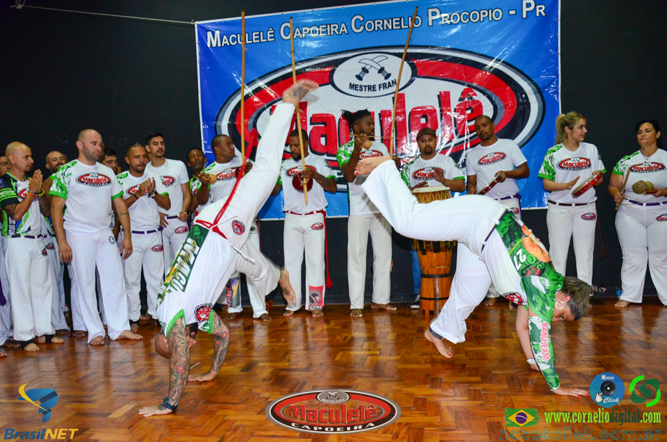 DSC_7038.jpg