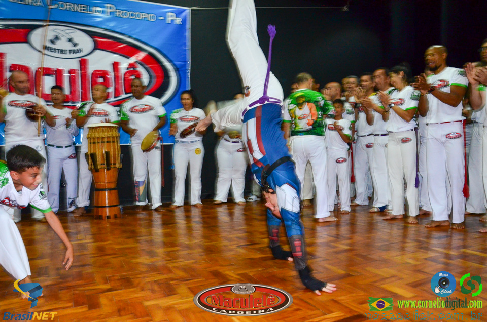 DSC_7413.jpg