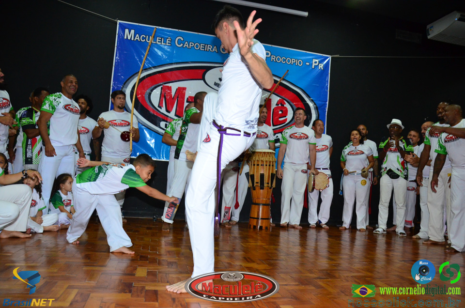 DSC_7906.jpg