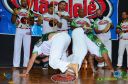 DSC_6382.jpg