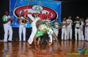 DSC_6462.jpg