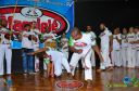DSC_6484.jpg