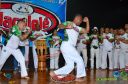 DSC_6519.jpg