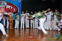 DSC_6559.jpg