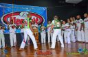 DSC_6585.jpg