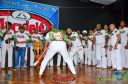 DSC_6603.jpg