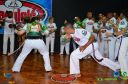 DSC_7006.jpg