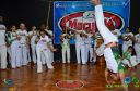 DSC_7405.jpg