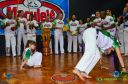 DSC_7781.jpg