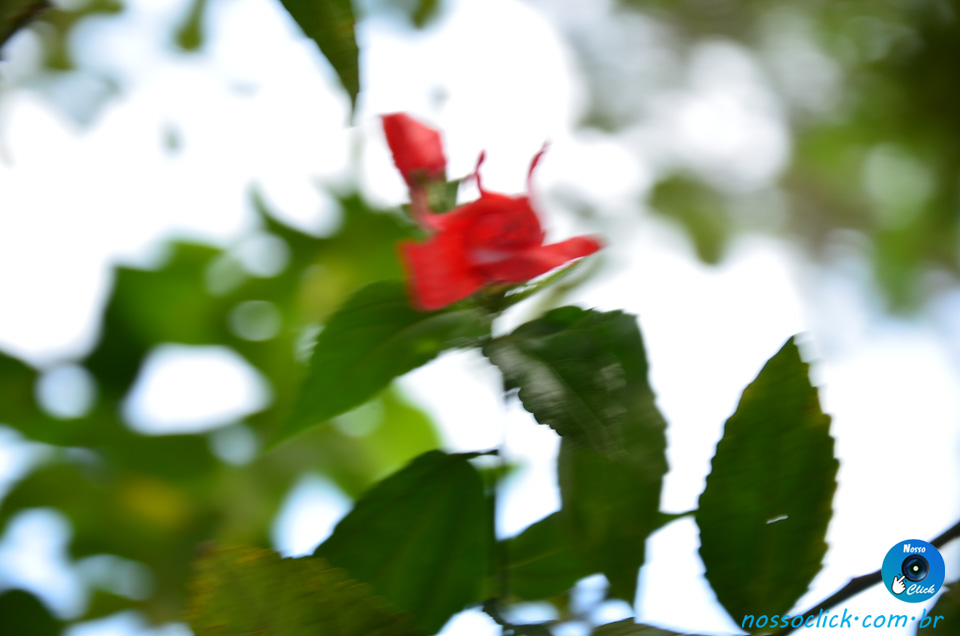 DSC_8661.jpg