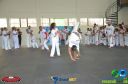 DSC_8775.jpg