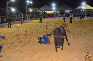 Filename=CDSC_9968.jpg
Filesize=276KiB
Dimensions=960x636
Date added=Jun 14, 2024 CDSC_9968.jpg