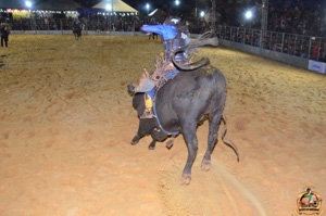 Filename=CDSC_9980.jpg
Filesize=277KiB
Dimensions=960x636
Date added=Jun 14, 2024 CDSC_9980.jpg