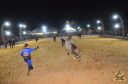 Filename=DSC_0873.jpg
Filesize=261KiB
Dimensions=960x636
Date added=Jun 18, 2024 DSC_0873.jpg