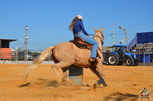 Filename=DSC_2151.jpg
Filesize=227KiB
Dimensions=960x636
Date added=Jun 20, 2024 DSC_2151.jpg
