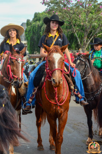 Filename=DSC_4065.jpg
Filesize=366KiB
Dimensions=636x960
Date added=Jun 20, 2024 DSC_4065.jpg