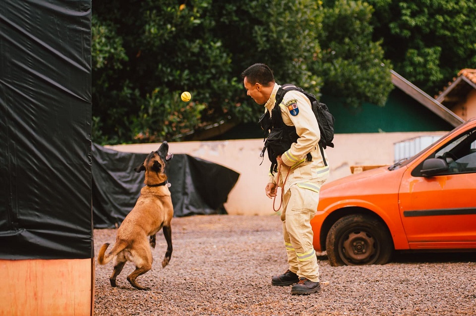 Equipes do Corpo de Bombeiros realizam demonstração de busca e resgate com cães na ExpoLondrina