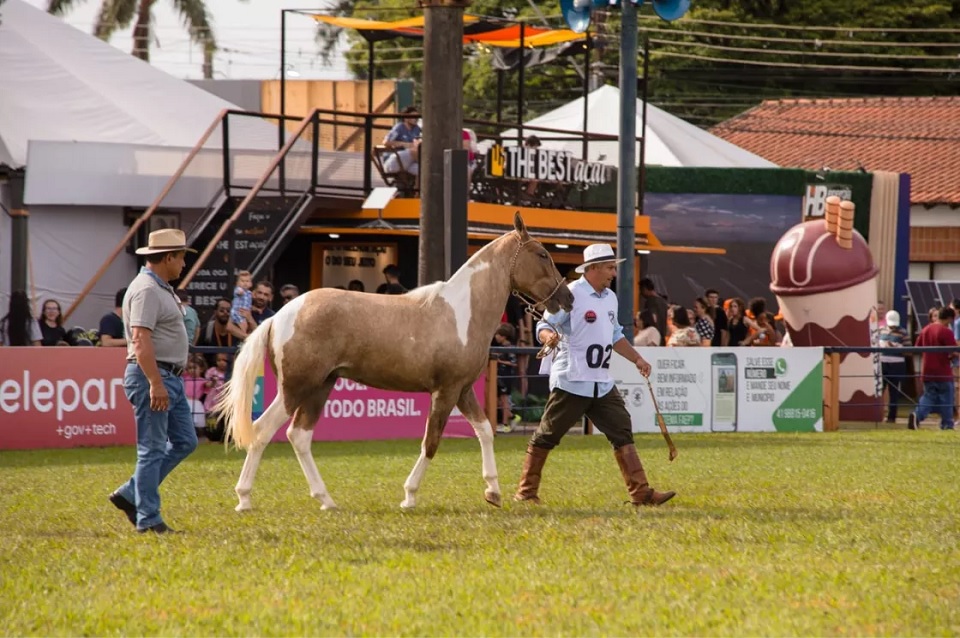Campeonato Promessa de Cavalos Campeiros lota pista central na ExpoLondrina