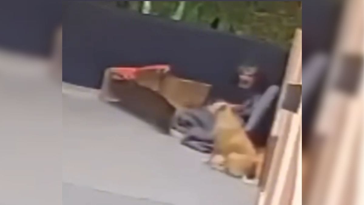 Câmera de segurança flagrou o crime (Foto: Frada, Reprodução)