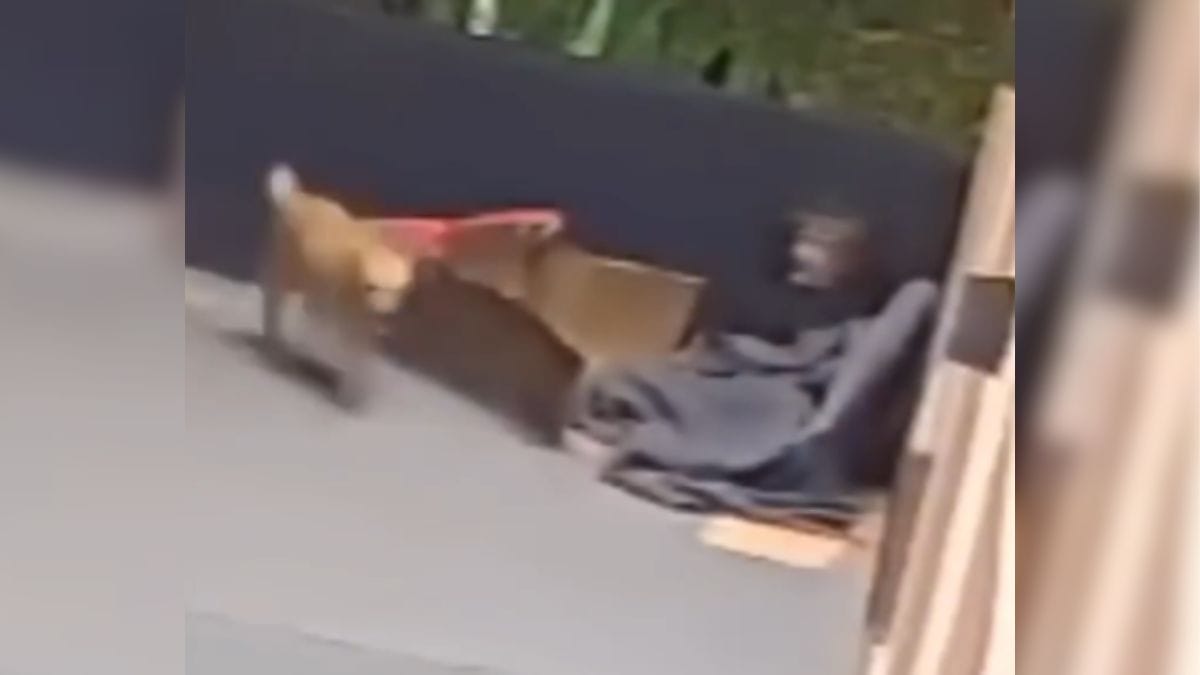 Câmera de segurança flagrou o crime (Foto: Frada, Reprodução)