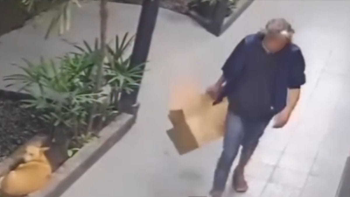Câmera de segurança flagrou o crime (Foto: Frada, Reprodução)